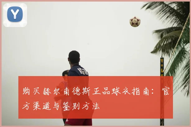 购买赫尔南德斯正品球衣指南：官方渠道与鉴别方法