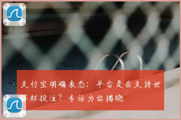 支付宝明确表态：平台是否支持世界杯投注？专访为你揭晓