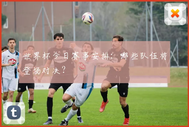 世界杯今日赛事安排:哪些队伍将登场对决?