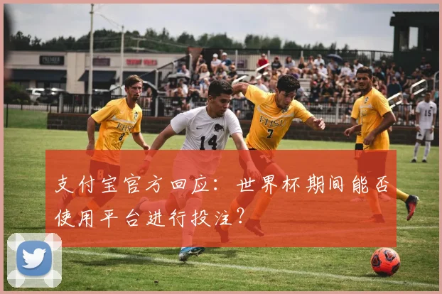 支付宝官方回应：世界杯期间能否使用平台进行投注？