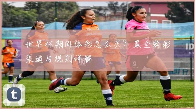 世界杯期间体彩怎么买？最全购彩渠道与规则详解