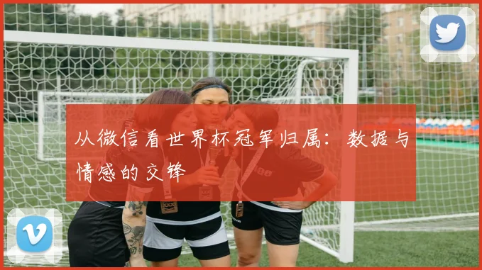 从微信看世界杯冠军归属：数据与情感的交锋