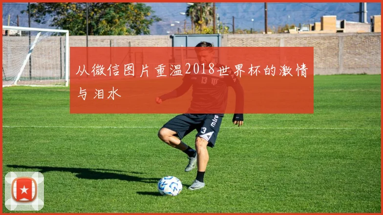 从微信图片重温2018世界杯的激情与泪水