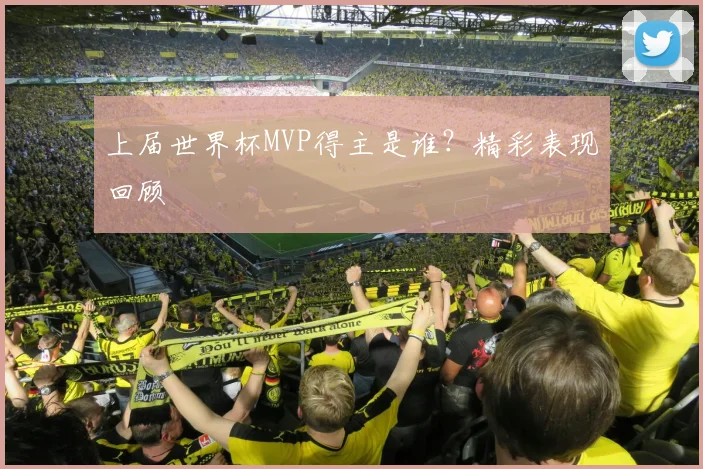 上届世界杯MVP得主是谁?精彩表现回顾