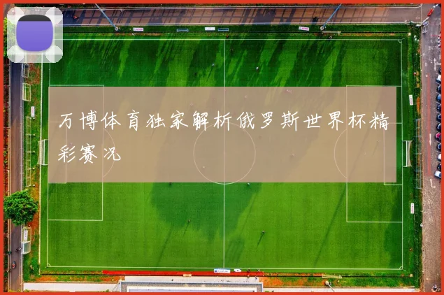 万博体育独家解析俄罗斯世界杯精彩赛况