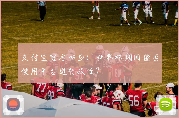 支付宝官方回应：世界杯期间能否使用平台进行投注？