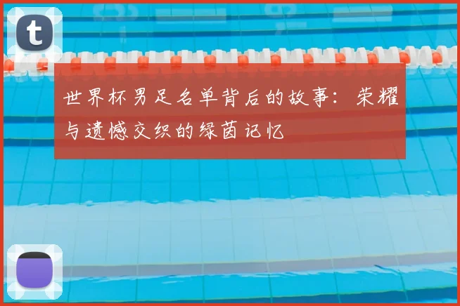 世界杯男足名单背后的故事:荣耀与遗憾交织的绿茵记忆