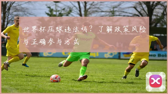 世界杯压球违法吗？了解政策风险与正确参与方式
